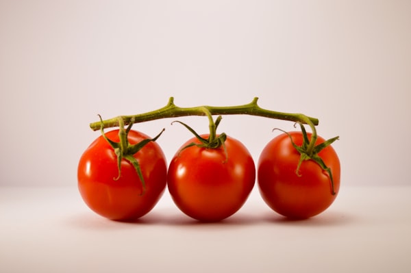 Pomodori rossi a grappolo