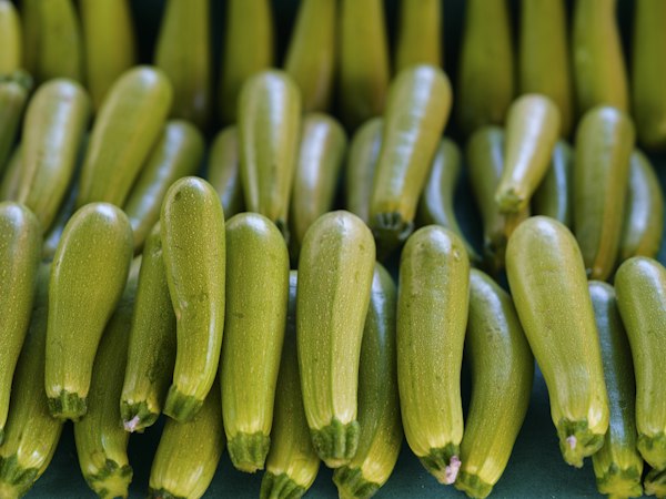 Zucchine verdi fresche